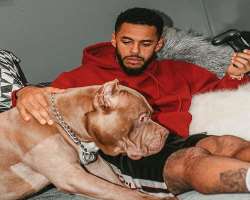 Gray is accompanied by a big dog in his home.